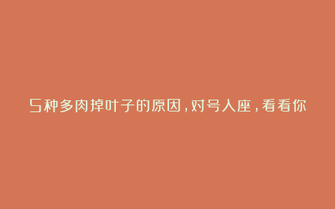 5种多肉掉叶子的原因,对号入座,看看你家肉肉是哪一种?