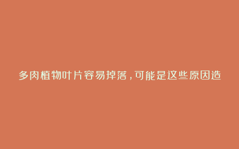 多肉植物叶片容易掉落,可能是这些原因造成的,如何补救?