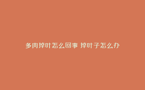 多肉掉叶怎么回事?掉叶子怎么办?