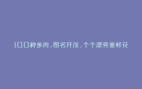 100种多肉,图名并茂,个个漂亮塞鲜花,看看你喜欢哪一款
