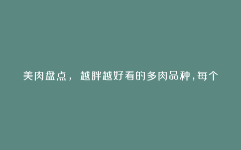 美肉盘点, 越胖越好看的多肉品种,每个人都希望养的肥肥的