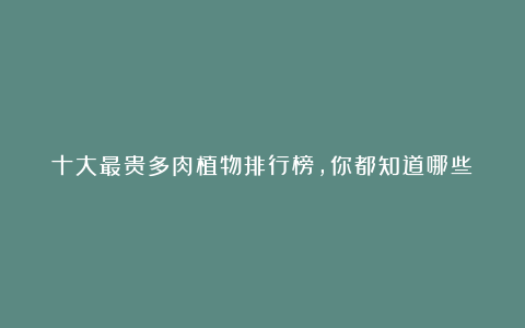 十大最贵多肉植物排行榜,你都知道哪些?不愧是价格天花板