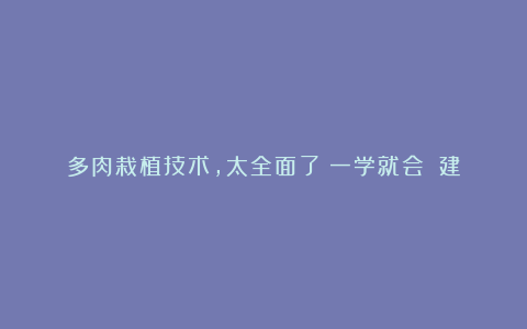 多肉栽植技术,太全面了!一学就会!(建议收藏)
