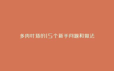 多肉叶插的15个新手问题和做法