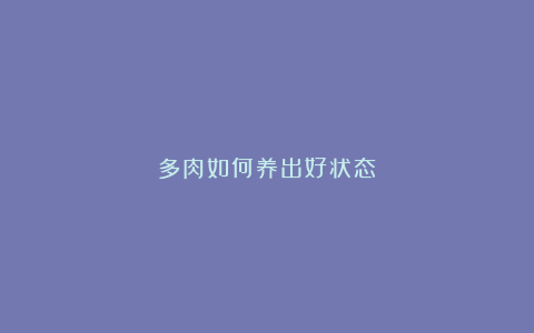 多肉如何养出好状态