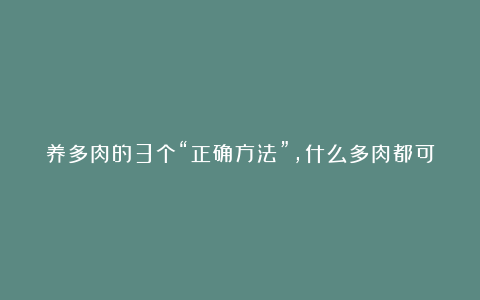 养多肉的3个“正确方法”,什么多肉都可以养好,又美又壮颜值高