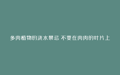 多肉植物的浇水禁忌:不要在肉肉的叶片上喷水