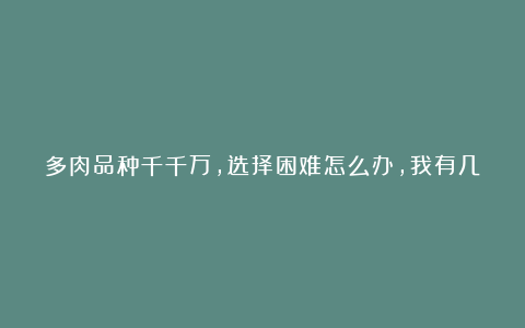多肉品种千千万,选择困难怎么办,我有几个好推荐