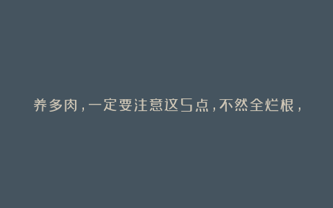 养多肉,一定要注意这5点,不然全烂根,真吃亏