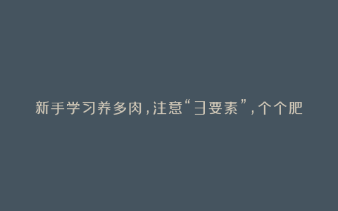 新手学习养多肉,注意“3要素”,个个肥嘟嘟,养出好状态