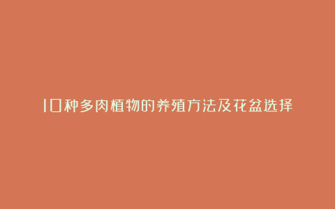 10种多肉植物的养殖方法及花盆选择