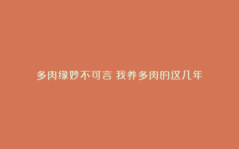 多肉缘妙不可言!我养多肉的这几年!