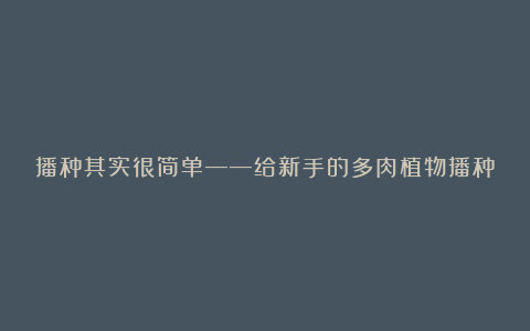 播种其实很简单——给新手的多肉植物播种教程