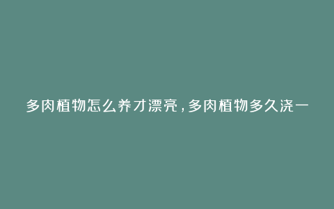 多肉植物怎么养才漂亮,多肉植物多久浇一次水