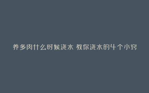 养多肉什么时候浇水?教你浇水的4个小窍门,让多肉越长越茂盛