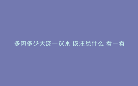 多肉多少天浇一次水?该注意什么?看一看就明白啦