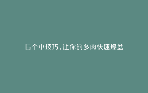 6个小技巧,让你的多肉快速爆盆