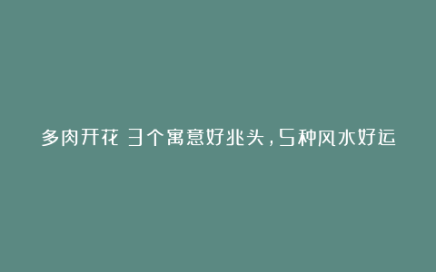 多肉开花:3个寓意好兆头,5种风水好运气来,每一朵都惊艳了春天