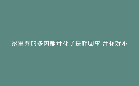 家里养的多肉都开花了是咋回事?开花好不好?
