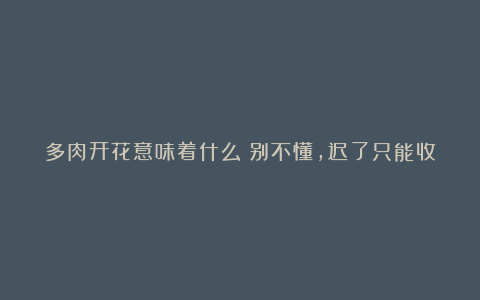 多肉开花意味着什么?别不懂,迟了只能收获一个个“空盆”