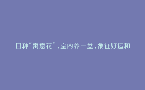 8种“寓意花”,室内养一盆,象征好运和招财,我就养了