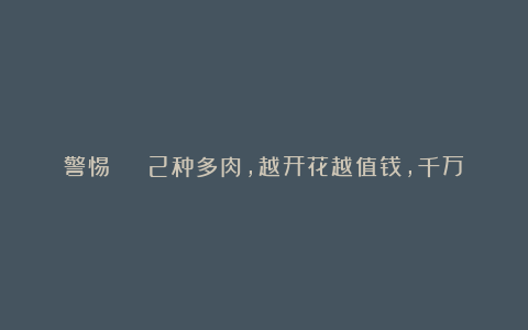 警惕 | 2种多肉,越开花越值钱,千万别剪了