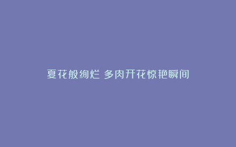 夏花般绚烂!多肉开花惊艳瞬间!