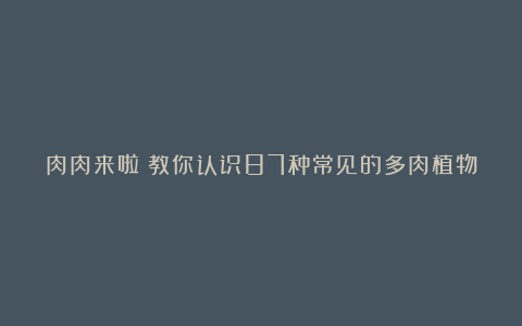 肉肉来啦|教你认识87种常见的多肉植物