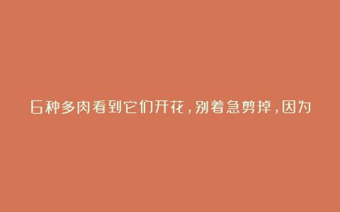 6种多肉看到它们开花,别着急剪掉,因为太难得,很少有人能见到
