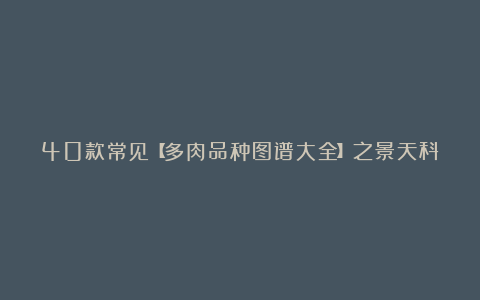 40款常见【多肉品种图谱大全】之景天科,买不到的不写