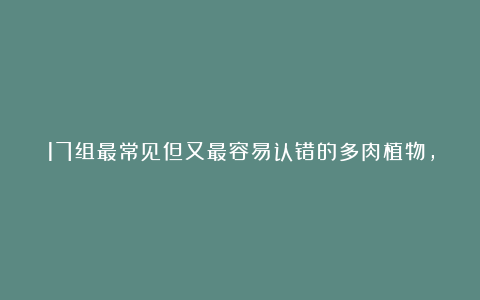 17组最常见但又最容易认错的多肉植物,你是不是也傻傻的分不开?