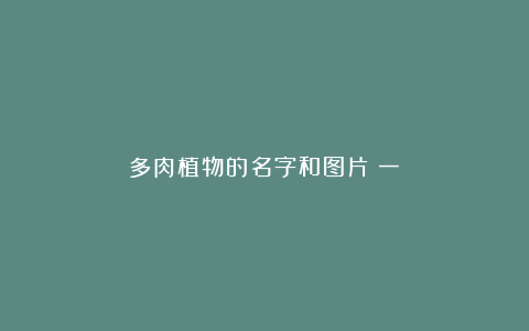 多肉植物的名字和图片(一)
