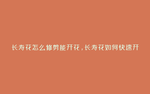 长寿花怎么修剪能开花,长寿花如何快速开花