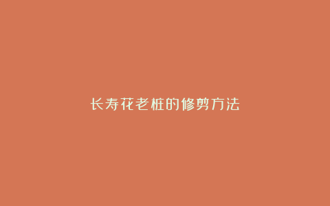 长寿花老桩的修剪方法