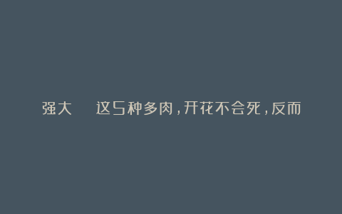 强大 | 这5种多肉,开花不会死,反而活得更久