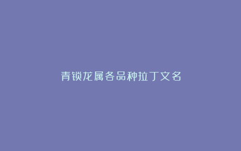 青锁龙属各品种拉丁文名