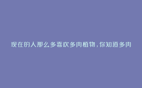 现在的人那么多喜欢多肉植物,你知道多肉植物得风水学吗?