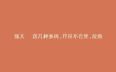 强大 | 这几种多肉,开花不会死,反而活得更久