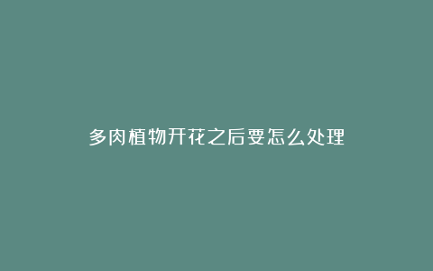 多肉植物开花之后要怎么处理?