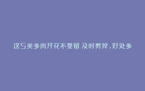 这5类多肉开花不要留!及时剪掉,好处多!