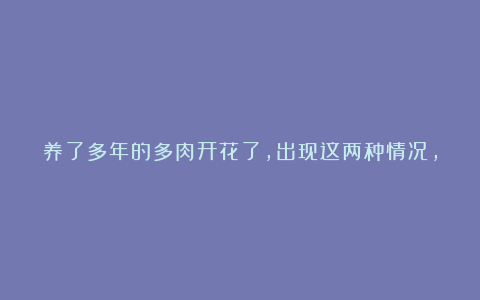 养了多年的多肉开花了,出现这两种情况,最好要剪掉