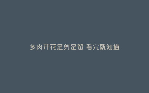 多肉开花是剪是留?看完就知道