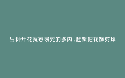 5种开花就容易死的多肉,赶紧把花箭剪掉,那样才活得久!
