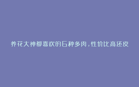 养花大神都喜欢的6种多肉,性价比高还皮实,仙气十足惹人爱