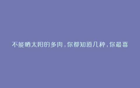 不能晒太阳的多肉,你都知道几种,你最喜欢哪一种?