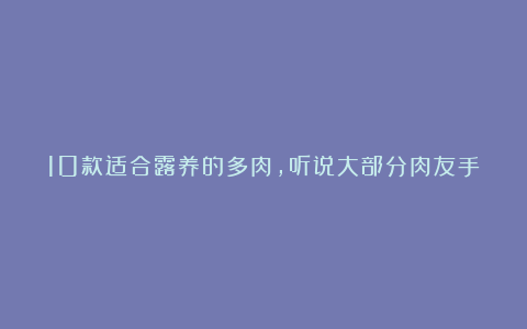 10款适合露养的多肉,听说大部分肉友手中都有!