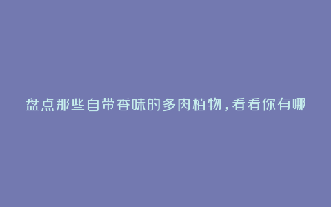 盘点那些自带香味的多肉植物,看看你有哪些?