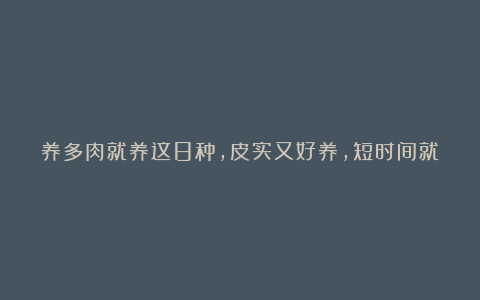 养多肉就养这8种,皮实又好养,短时间就能变老桩,出状态也很美