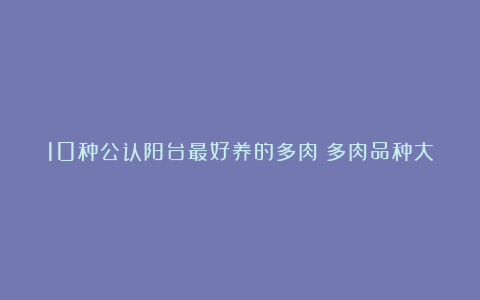 10种公认阳台最好养的多肉(多肉品种大全)