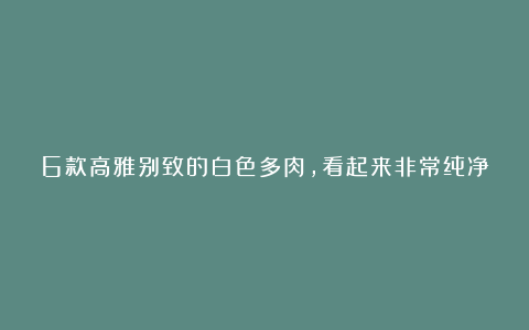 6款高雅别致的白色多肉,看起来非常纯净,处处透露着仙气,真美